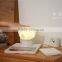Newest Arrival Elephant Tourch Induction Night Lamp, USB Power Supply Lighting