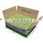 KINGZEST Kosher Ready to Use Horseradish Flavor Wasabi Paste 43g per Tube