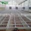 Coconut Plant Nursery Greenhouse Rolling Seedbed Benches