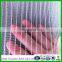 agricultural netting anti hail , anti hail netting for vineyard, fruit tree protect