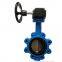 Cast iron Lug double shaft pinless Worm Gear butterfly valve