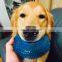 China supplier wholesale free sample tpr ring for small dog teeth chew cleaning toy
