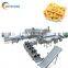 Professional Banana Processing Line Input 1000kg Banana Chips Machine