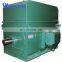 250kw 3.3kv Ykk Series Medium Size High Voltage Ac Asynchronous Motor