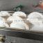 easy operate factory price commercial dumpling production equipment