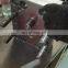 OEM/ODM manufacturer injection mold molding part plastic for small medical molded parts