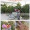 Shuliy apricot hazelnut palm fruit almond sheller processing machine nuts shell broken machine