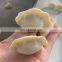 automatic Gyoza machine/handmade dumpling making machine