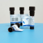 Detailed introduction of luminescent reagent NSP-SA 211106-69-3