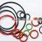 Door Gasket of Container