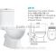 Chaozhou bathroom design ceramic sanitary ware washdown two piece toilet