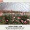 Cheap commercial glass greenhouse