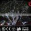 led rain light