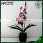 artificial orchids latex high quality flower pot