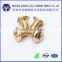 1/8 *6.5 small copper screw for Electrical appliances