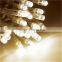 Connectable LED Curtain Lights, led net light, holiday decoration LED light