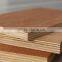 Cheap price 3-25mm Eucalypt plywood commercial plywood sheet