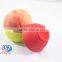 Dongguan silicone products mini convenient bento kids lunch box