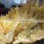 Natural Beauteous Crystal Stone Drusy Citrine Cluster For Sale