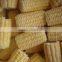 Chinese IQF Frozen Sweet Corn for sale