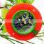 2015 new School Use PMMA Cup Insect Plant Specimen Magnifying Viewer Box