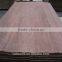 0.30mm natural keruing face veneer / gurjan face veneer for India market