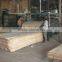 15mm Hardwood Core Film Faced Plywood from Vietnam