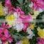 Fresh Flowers