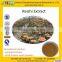 GMP manufacturer supply high quality and 100% Natural Ganoderma Spore Powder
