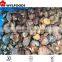 iqf frozen mushrooms - Suillus granulatus
