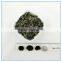 Small Bowl Agaric, Fungo preto, Hongo negro