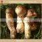 Mushroom & Truffles supplier