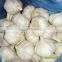 Jinxiang Pure White Garlic pack in Small Package