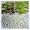 Hydroponics and Aquaponics Expanded Perlite For Sale