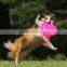 Wholesale Low Price Frisbee Premium Quality Dog Toys Silicone Frisbee, Environmental Pet Flying Disk, Non-toxic Flying Disc