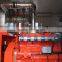 Camda good quality biogas generator with CE certificate