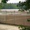 green plant protection netting insect proof net