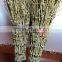 Cheap Itlian wholesales bamboo brooms 15 branches besom big manufacturer