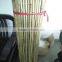 WY-212 Flexiable coated dry raw garden tonkin bamboo canes for sale