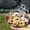 Solar Barbecue Stove/outdoor solar cooking stove