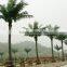 Home garden edging decorative 5ft to 16ft Height outdoor artificial green plastic palm trees EDS06 0804