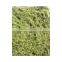 20cm*25cm decorative home decor artificial moss landscaping factory vertical green concrete steel wire mat wall pieces ZM09 2304