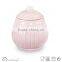 ceramice pot