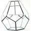 Stretched Dodecahedron 3 sizes Geometric Fruit Glass Terrarium