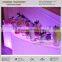 food dessert cake display buffet bar table buffet counter ( BC140 )