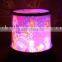 HSD-210 Sky beauty LED light