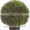 Artificial Cocktail Grass Ball fake topiary ball for indoor&outdoor decor