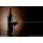 Brazil Red Wine Import To Shanghai Agent