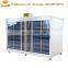 Big output 500kg daily fodder sprouting machine for barley / alfalfa