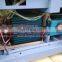 Hartridge Test Bench For Sale with CR816